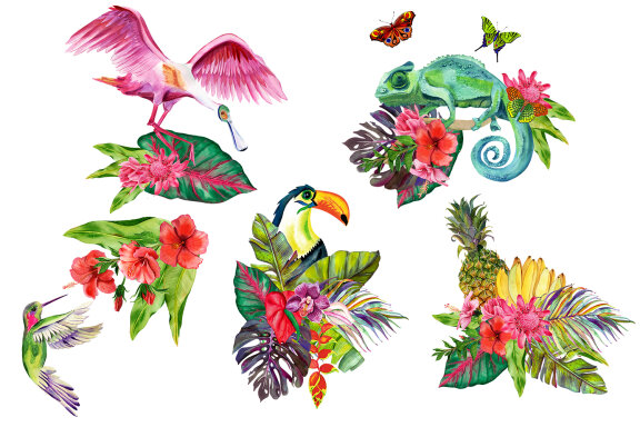 Watercolor Tropical Flower Bouquets Clipart