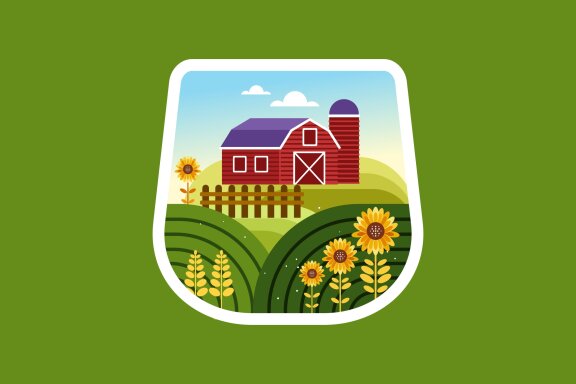 Farm house and sunflower field