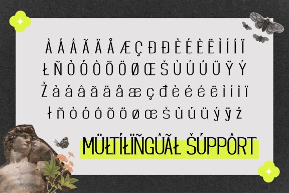 Nobac - Classic Serif Display Font