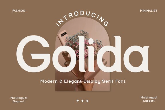 Golida - Modern &amp; Elegant Display Serif Font