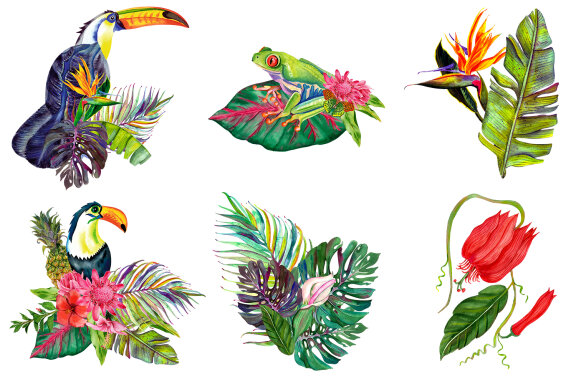 Watercolor Tropical Bouquets, flowers clipart