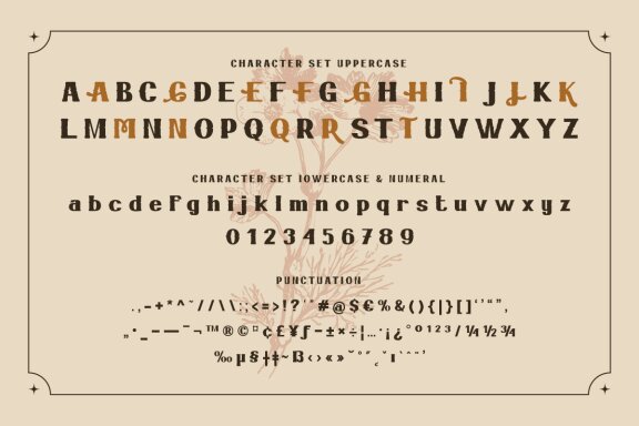Haruy - Serif Bold Classic Display Font