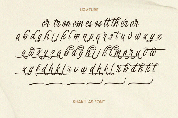 The Shakillas - Handwritten Script