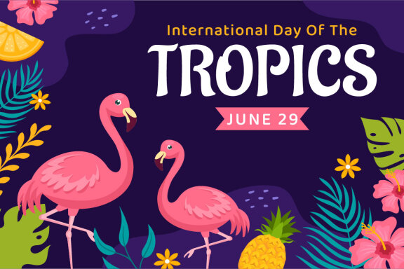 Day of the Tropic FREE Vector Illustration