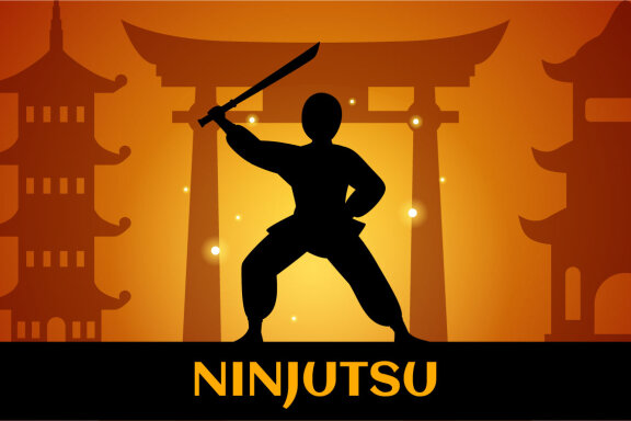8 Ninjutsu Ninja Shinobi Illustration