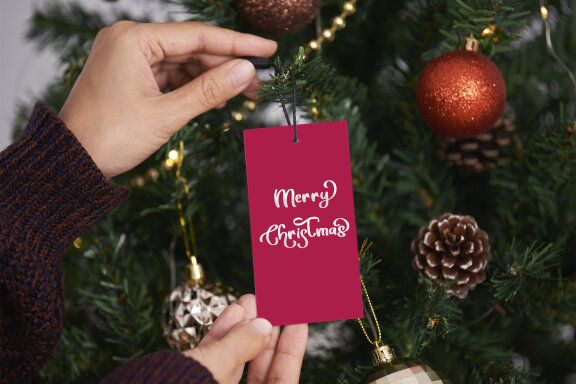 Beauty Christmas