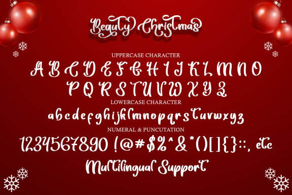 Beauty Christmas