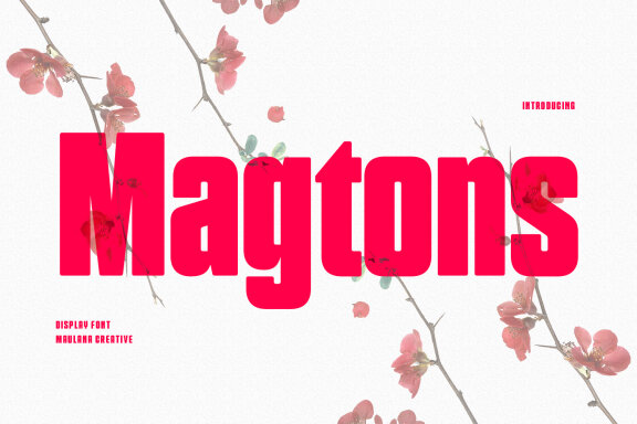 Magtons Display Font
