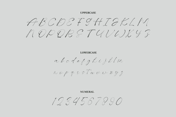 NCL BOQUET GUIDES - Love Swash Font