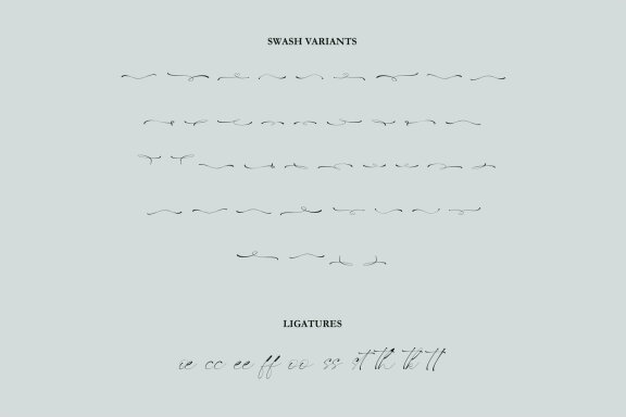 NCL BOQUET GUIDES - Love Swash Font