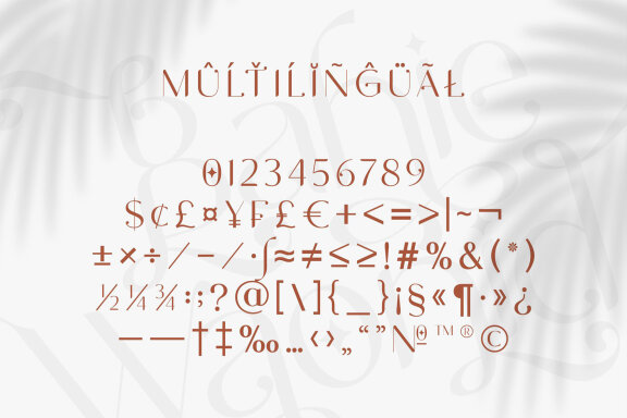 NCL Bahie Waonid - Stylish Typeface