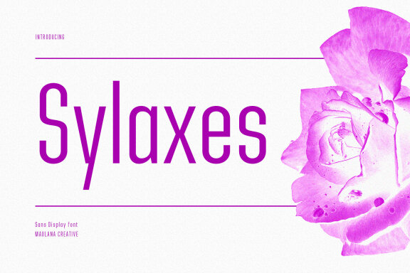 Sylaxes Condensed Sans Font