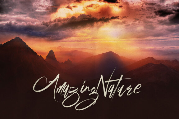 Above Brush & SVG Script