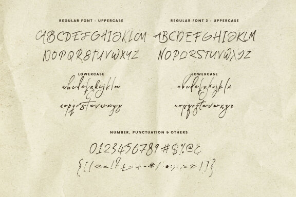 Affect Brush & SVG Script