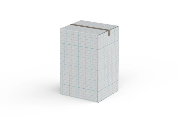 Vertical Cardboard Carton Box Mockup for Packaging