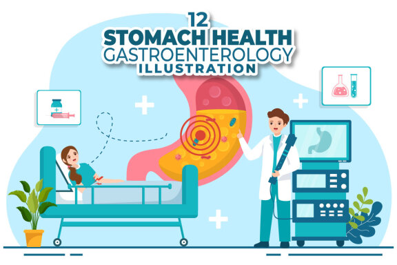 12 Stomach Health Gastroenterology Illustration