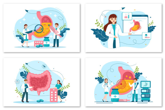 12 Stomach Health Gastroenterology Illustration
