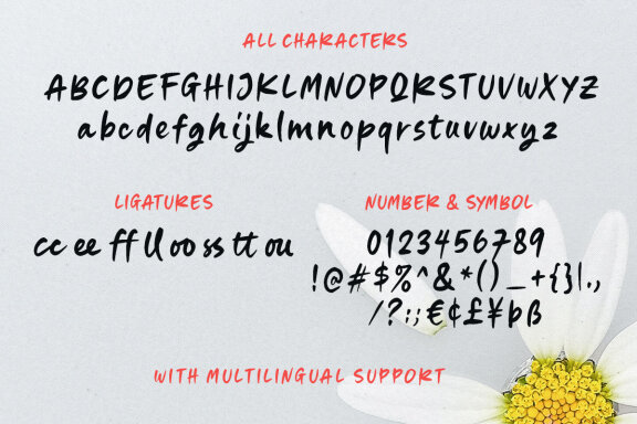 Wide House- Handwitten Font