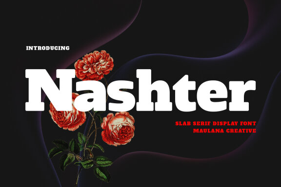 Nashter Slab Serif Font