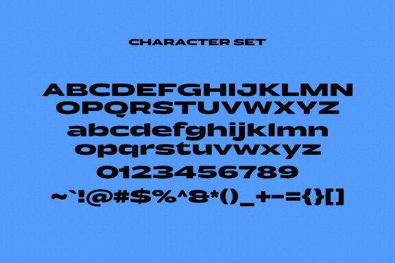 Edgytic Wide Sans Display Font