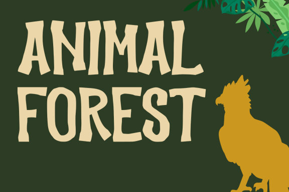 Jungle Hype Display FREE Font