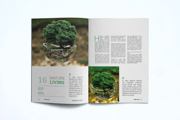 Magazine Template