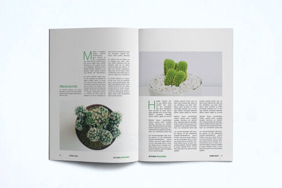 Magazine Template