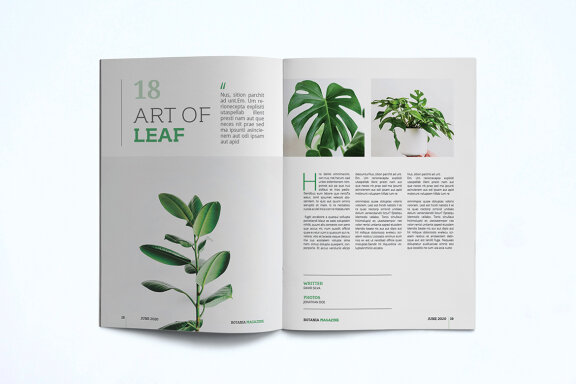 Magazine Template