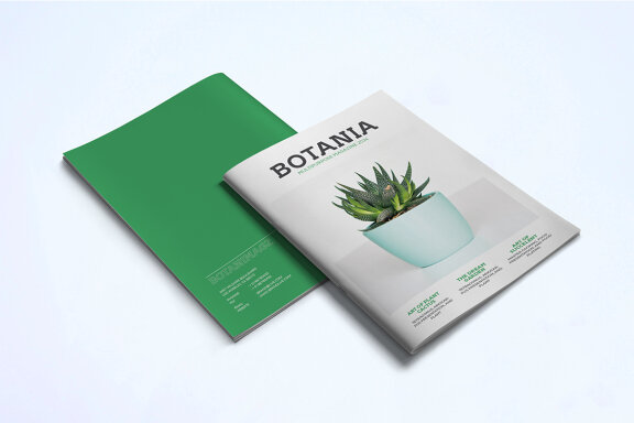 Magazine Template