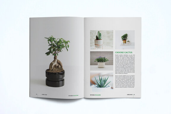 Magazine Template