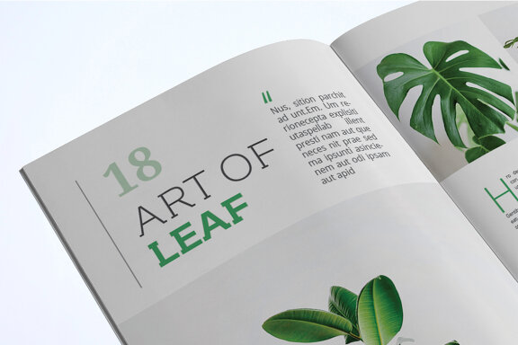 Magazine Template
