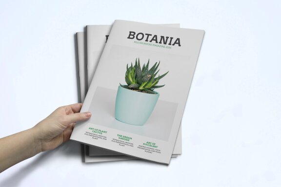 Magazine Template