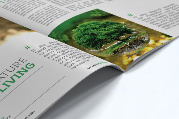 Magazine Template