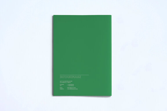 Magazine Template