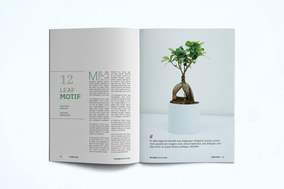 Magazine Template