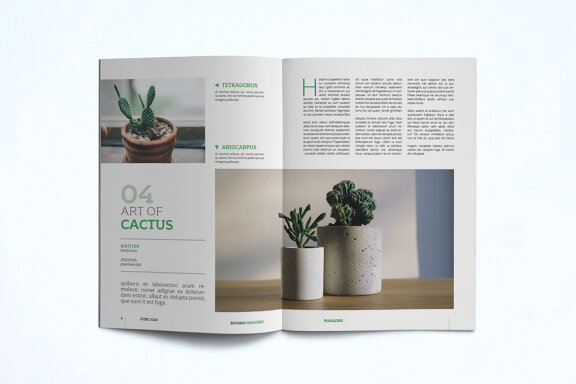 Magazine Template