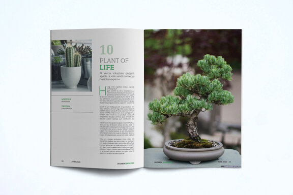 Magazine Template