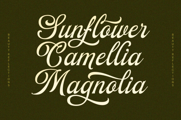 Beauty Reflections – Elegant Script