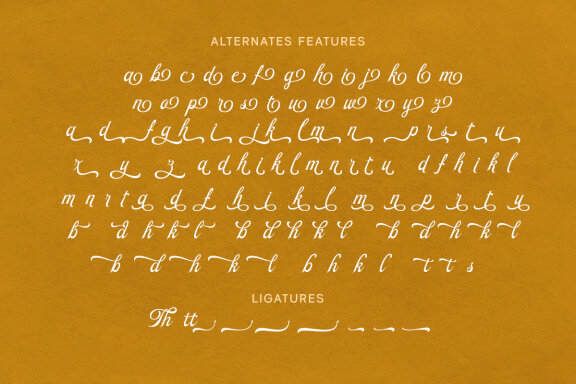 Beauty Reflections – Elegant Script