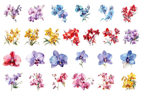 Orchids. Watercolor clipart collection Bundle