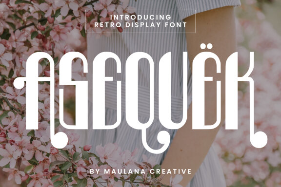 Asequek Retro Display Font