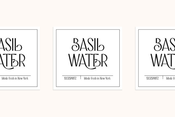 Angela Ravis Elegant Sans