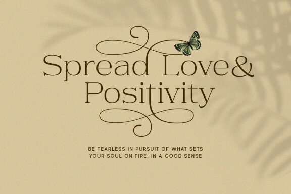 Daisy & Violette - Stylish Modern Serif