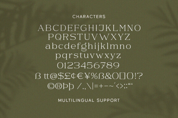 Daisy & Violette - Stylish Modern Serif