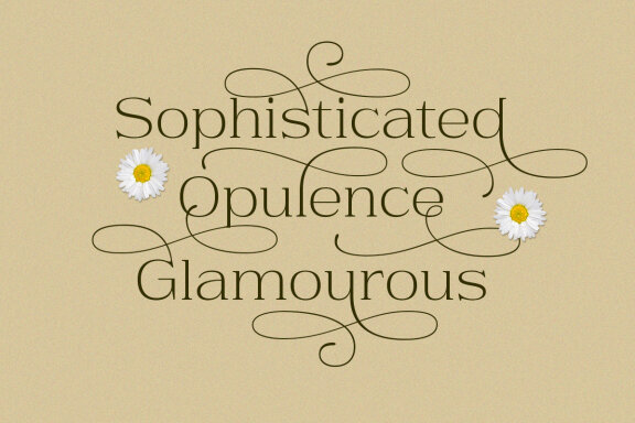 Daisy & Violette - Stylish Modern Serif