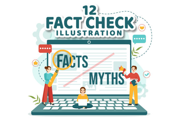 12 Fact Check Vector Illustration