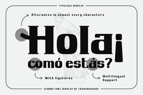 Ecomri - Serif Condensed Display Font