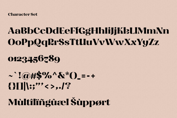 Blitez Semi Serif Display Font