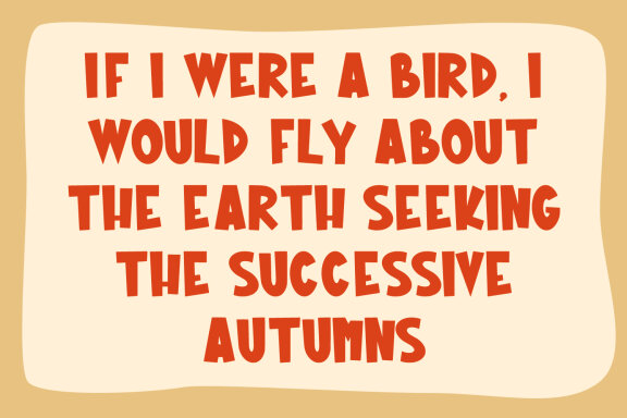 Autumn School Playful Display Font