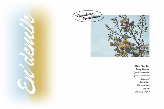 Dosescript Font